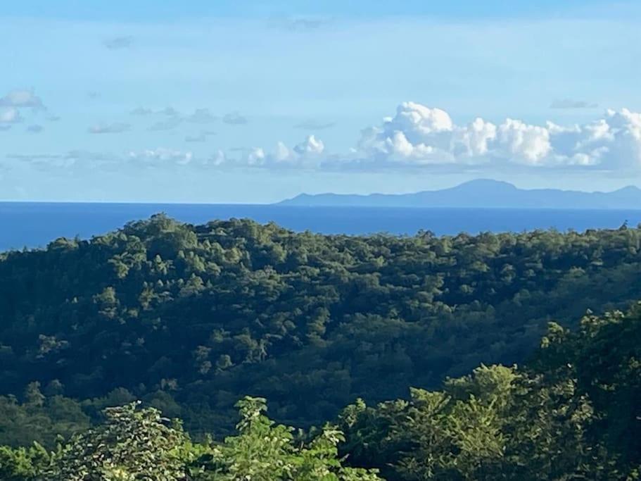 Les Terrasses De Maelle - Jolie Villa F4 Vue Mer Riviere-Salee Esterno foto